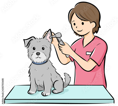 HPやカタログで使いやすい動物病院で診察を受ける犬（シュナウザー）のベクターイラスト