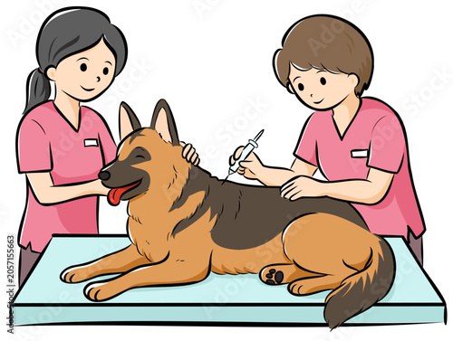 HPやカタログで使いやすい動物病院で診察を受ける大型犬（シェパード）のベクターイラスト