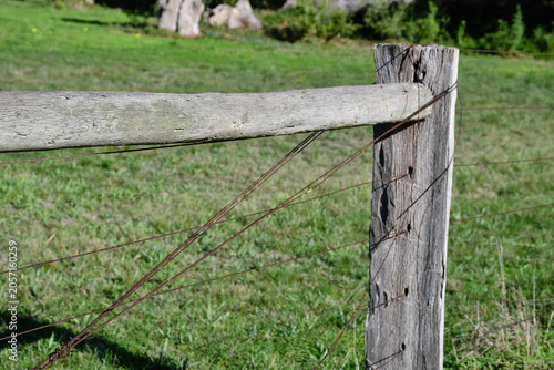Schilderij op canvas old farm fence in field