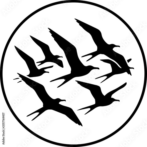 black frigate birds flying in the air in group