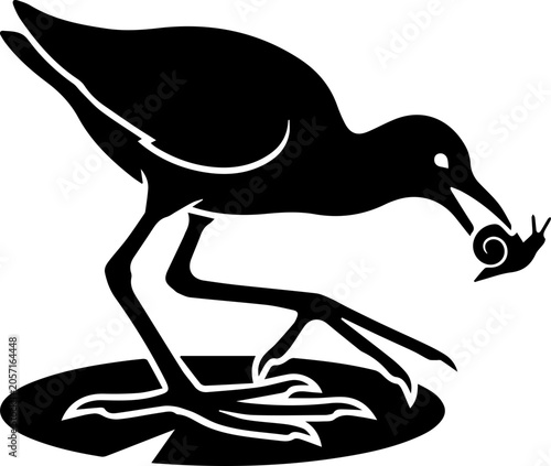black jacana hunting a ant