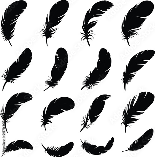 Bild auf Leinwand Black feather silhouettes collection isolated on white background vector illustr
