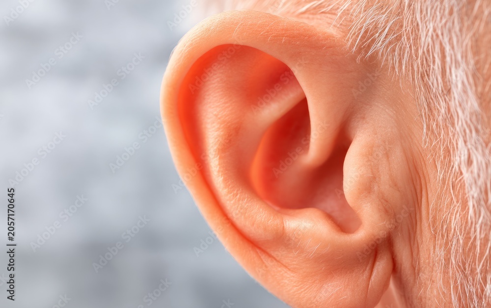 Fototapeta premium Closeup Macro Photography of Human Ear with Fine Details and Textures