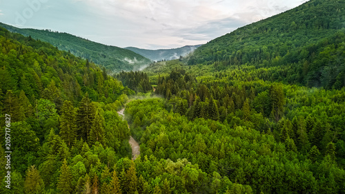 Fotografie Deep forest valley carved by a winding river holds drifting bands of mist betwee