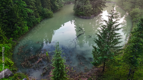 Картината върху платно Drone view of a murky green pond with floating logs and natural debris