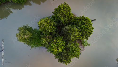 Φωτογραφία Drone view of a tiny green islet in still murky water