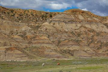 Horses Grazing below the Badlands at Makoshika State Park in Glendive Montana.  This photo was taken while hiking the Bluebird Trail in the park.