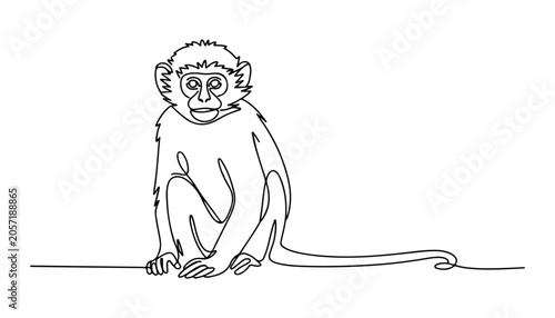Canvas Print One continuous line illustration of an Baboon animal , isolated on white background