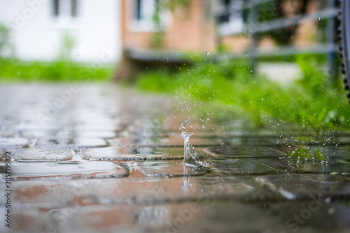 Konstfotografi Closeup raindrop splash crowns on a wet cobblestone path in a quiet courtyard as
