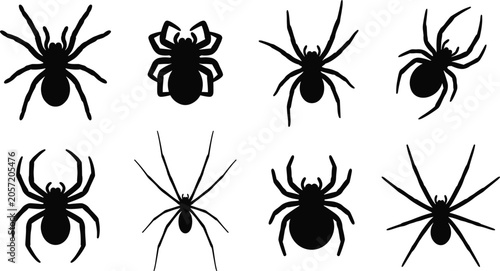 Set of eight black silhouette spider featuring different species and leg spans isolated on a white background