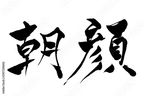 筆文字　朝顔