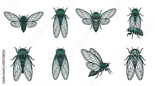 Картината върху платно Insects Cicadas Flying Bugs Drawings.