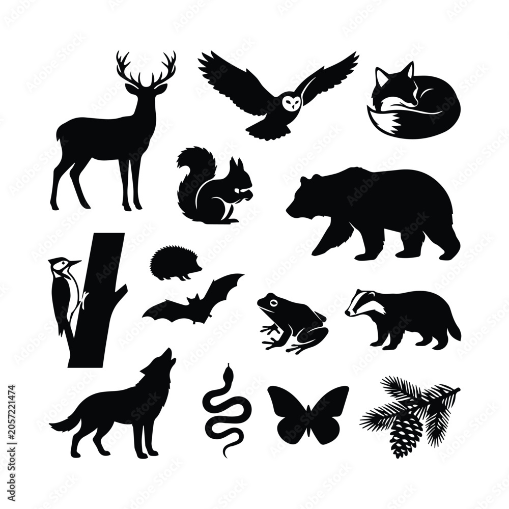 Obraz premium Collection of wild forest animals and nature silhouettes for your creative designs