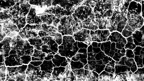 Fotografía Description: High contrast black and white image of dry, cracked earth or mud texture