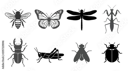 Tableau sur toile Insects and bugs in flight.
