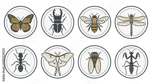 Photos Insects icons set with various bugs.