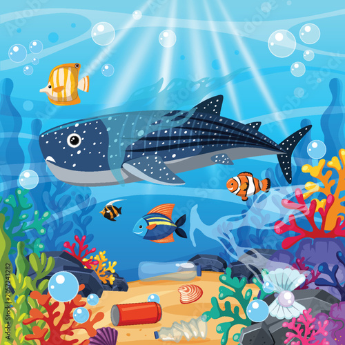 Whale Shark and Tropical Fish Swimming in Polluted Coral Reef