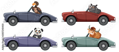 Photography Cartoon Wild Animals Driving Classic Convertible Cars Side View