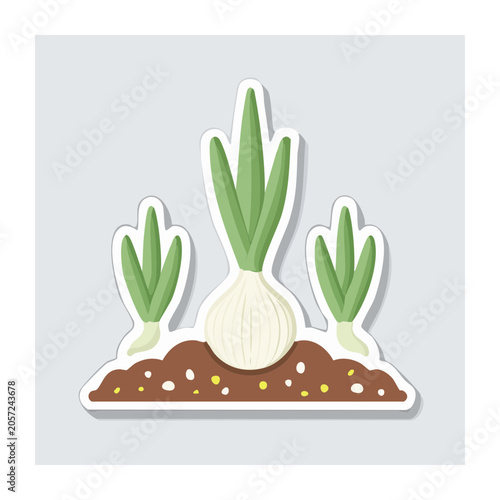 Flat design cactus in white pot vector