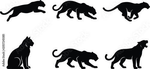Photography Black panther silhouette set featuring wild big cats jumping stalking running sitting and roaring in action poses vector illustration