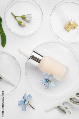 Petri dishes with sample, herbs and bottle of cosmetic product on white backg...