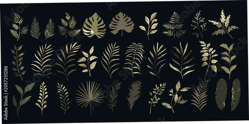 Canvastavla Collection Of Tropical Leaves Golden Vector Illustration On Dark Background