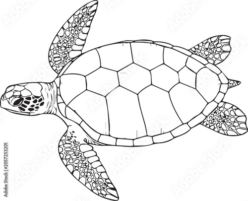 Minimalist black and white line art illustration of a graceful sea turtle swimming in clean vector format for logos and branding