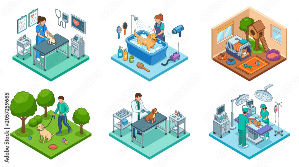 Fototapeta premium Isometric Animal Care and Pet Services Vector Icon Set