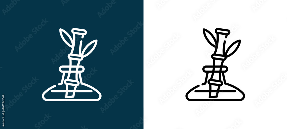 Naklejka premium Black and white bamboo outline icon duo, editable stroke vector illustration for web, mobile apps, UI design, branding, and print from House Plant