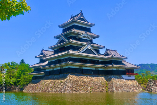 新緑と松本城（長野県・松本市）