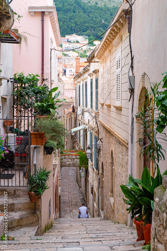 Принти на полотні Dubrovnik old town, the bell tower, the clock tower, cobbled stone street, lanew