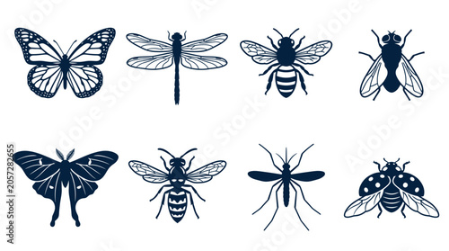 Foto Insects Butterflies Bees Flies Moths.