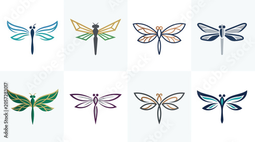 Tableau sur toile Colorful dragonflies in various poses 3.