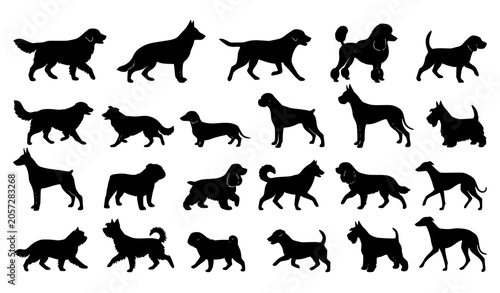 Konstfotografi Black dog silhouette pack with multiple breed profiles and dynamic movement pose