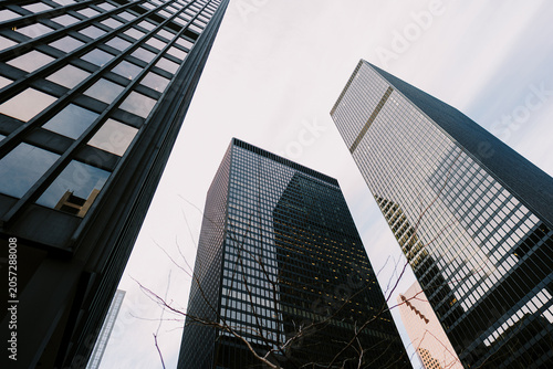 Modern skyscrapers in downtown Toronto Canada