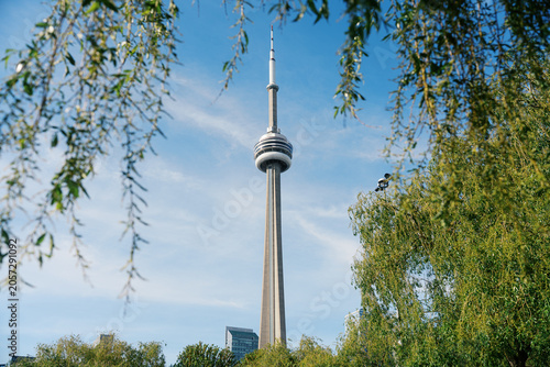 Photography Toronto, Canada - May 26, 2026: CN Tower framed by green willow branches and blu