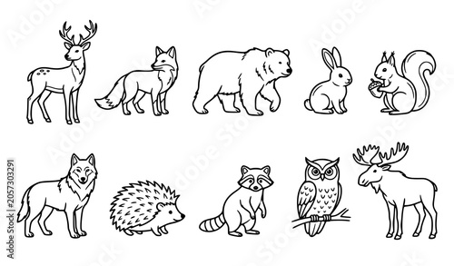 Hand drawn forest animal outline collection featuring woodland wildlife in clean line art style vector illustration set