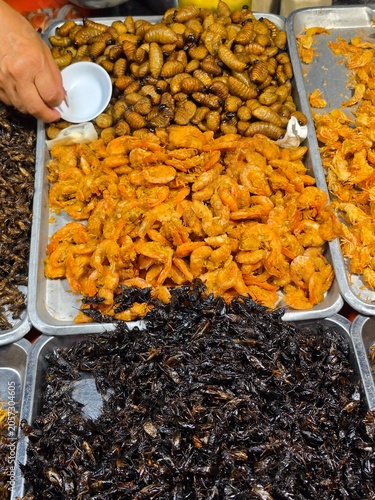 Famous street food in Thailand, close-up fried insects on food stalls, Thailand highlights, Thailand tour, local foods