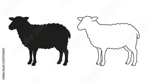 Valokuva Sheep Silhouette And Outline On White Background