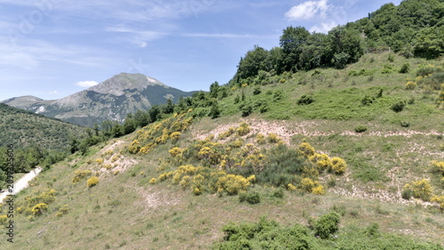 Montagne verdi con cespugli gialli e il monte Catria più alto sullo sfondo, sotto un cielo parzialmente nuvoloso e luminoso