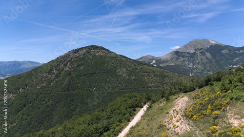 Sentiero di crinale tra cime verdi, con erba e fiori gialli in primo piano sotto un cielo limpido attraversato da sottili scie bianche