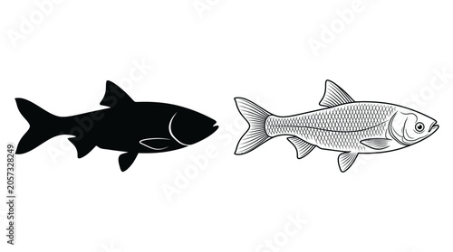 Quadro su tela Fish Illustration In Black And White Detailed Scales And Silhouette