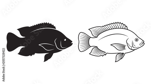 Konstfotografi Fish Silhouettes And Line Art On White Background