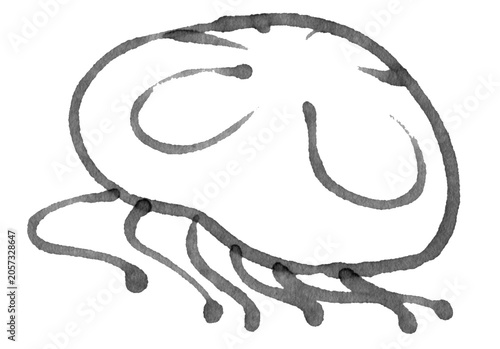 Foto じんわりしたマーカーで描いた小さいくらげ2モノクロ