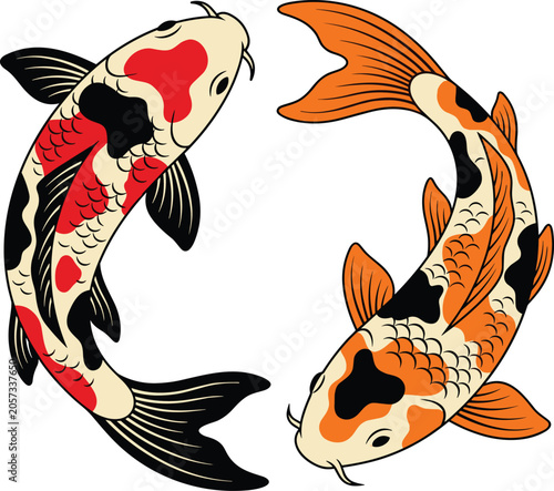 Quadro su tela Traditional Japanese koi fish vector illustration featuring two colorful carp sw