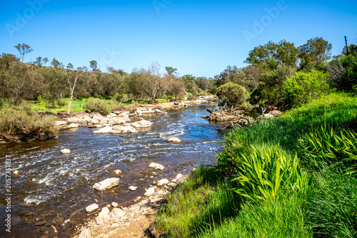 Swan River rapids with green grassy banks wildflowers and hills in Bells Rapids Park, Swan Valley, Western Australia, 25 September 2024