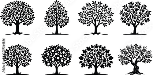 Photos Silhouette Collection of Fruit Trees Including Apple, Pear, Fig, and Olive Tree