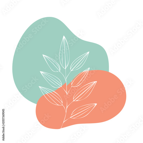 Red and green bell pepper vector illustration