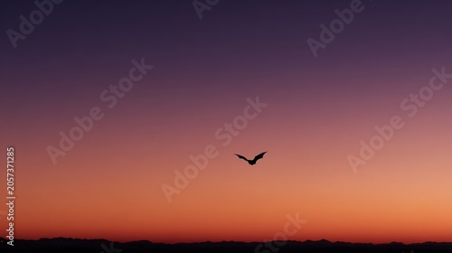 nocturnal. A bat's silhouette flying against a dusk sky gradient in a wide landscape view. wildlife magazines, conservation campaigns, designed for wildlife conservation campaigns.
