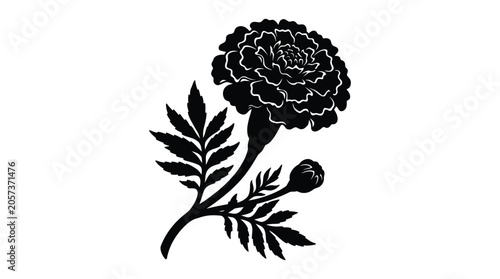 Slika na platnu Marigold Silhouette Against White Background Floral Design Element